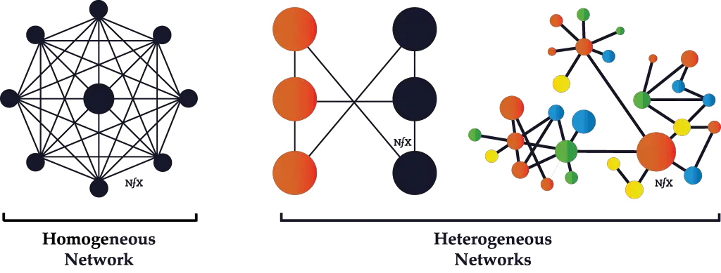  Homogeneous Network vs  Heterogeneous Network
