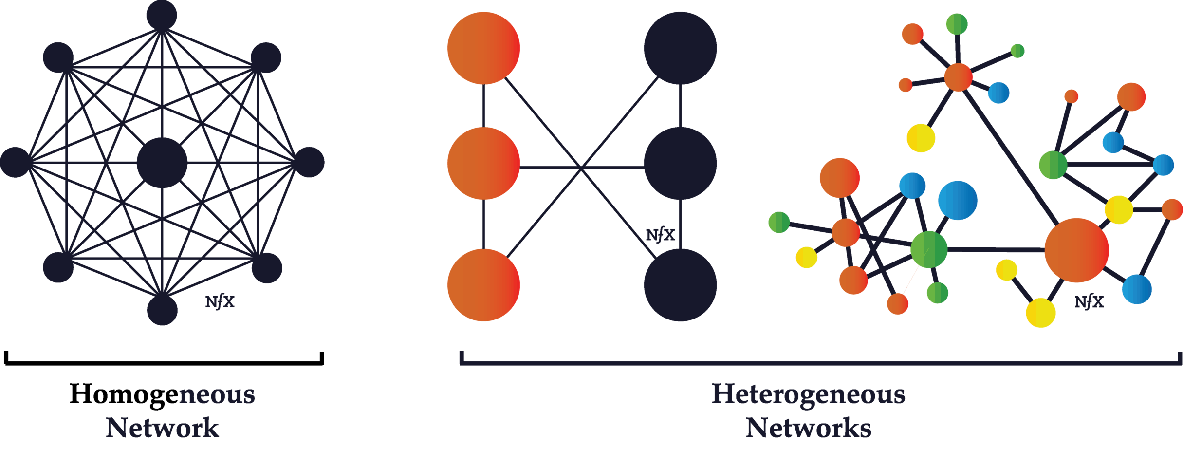 homogeneous-network-network-encyclopedia