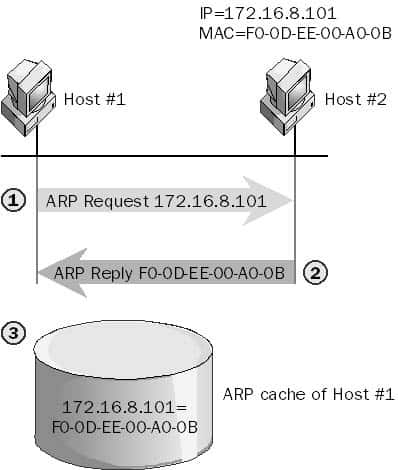 ARP - Address Resolution Protocol. ARP Request, ARP Reply, ARP Cache