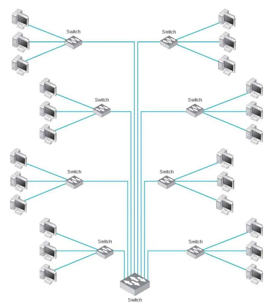Backbone Network