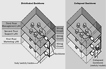 Backbone in Networking: Distributed Backbone and Collapsed Backbone