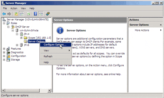 DHCP Options