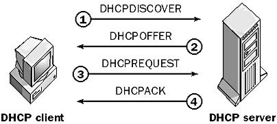 DHCP Client Server Example - Developer Help