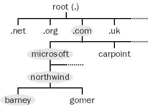 Domain Name System (DNS)