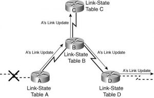 Link State Routing Algorithm - NETWORK ENCYCLOPEDIA