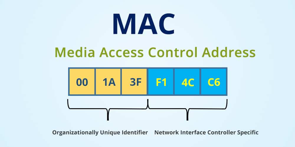 find the interface for the network in mac