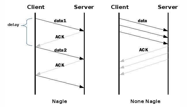 Nagle's Algorithm (or Nagles algorithm)