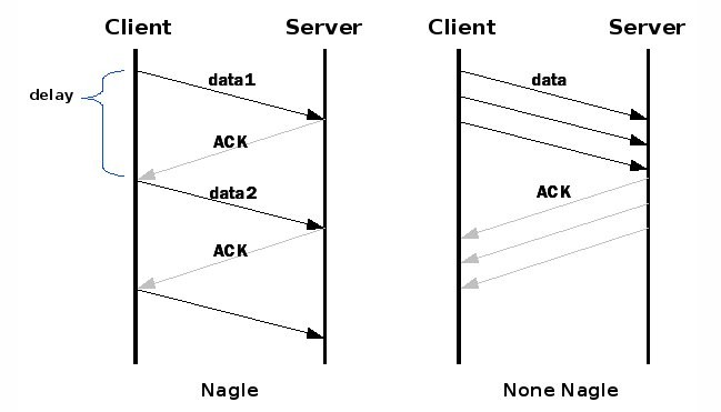 Nagle’s Algorithm: The Network’s Silent Maestro