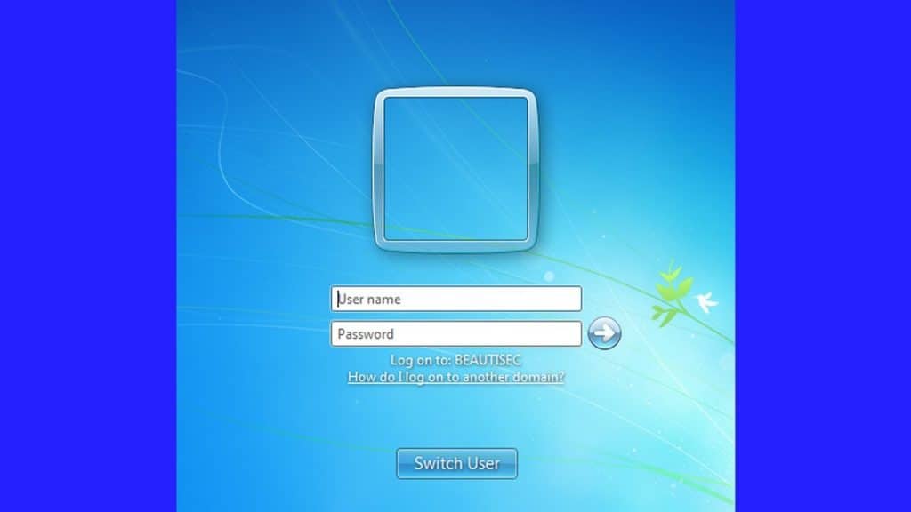 Username in networking (logon Windows Vista)