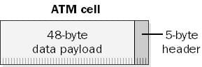 ATM cell