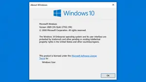 Eula windows 10 что это