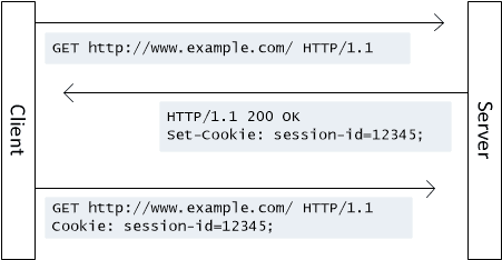 Http Cookie