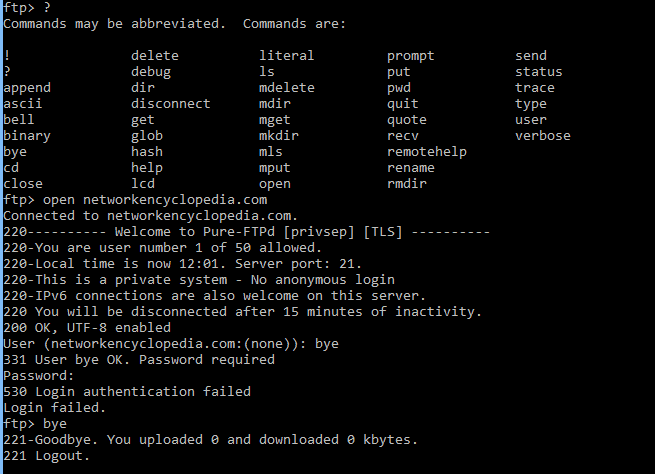 ftp utility (Windows)