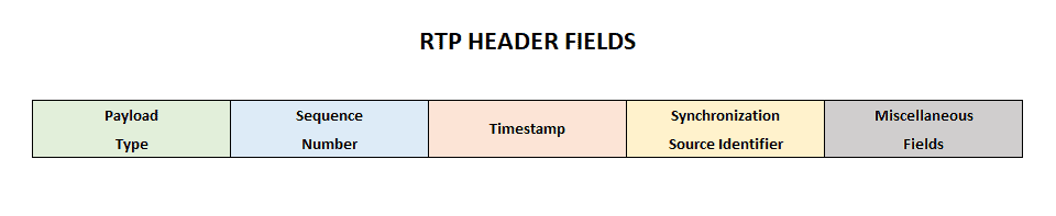 RTP Header Fields
