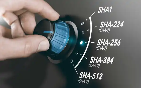 SHA-2 family: SHA-224, SHA-256, SHA-384, SHA-512, SHA-512/224, and SHA-512/256