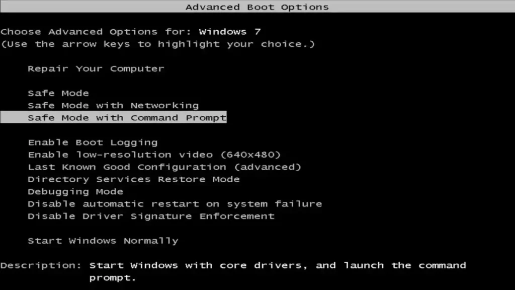 Advanced Boot Options (on Windows 7)