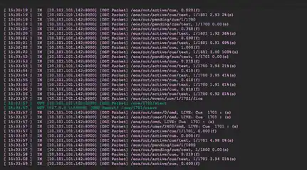 BIRD Manage traffic using route filters